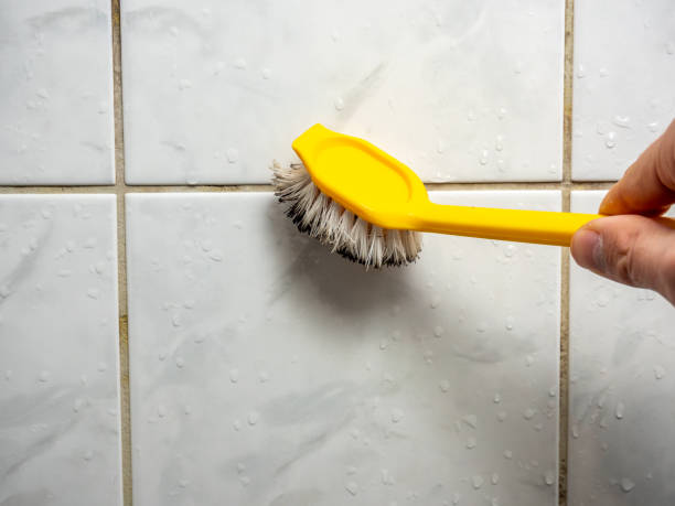 Best Best Mold Removal Companies  in Ambler, PA